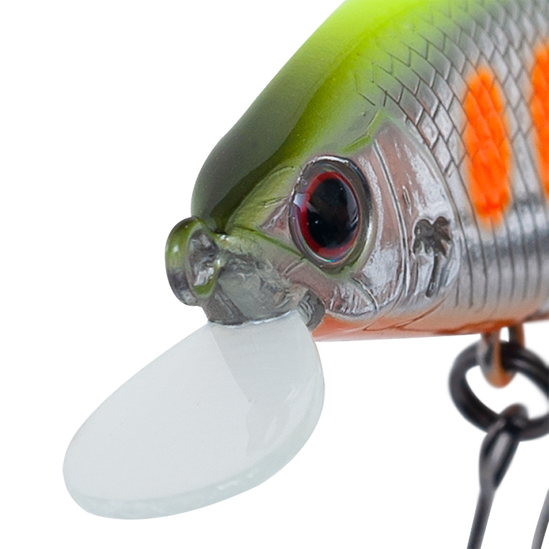 強烈なアクションを生み出す基盤リップ