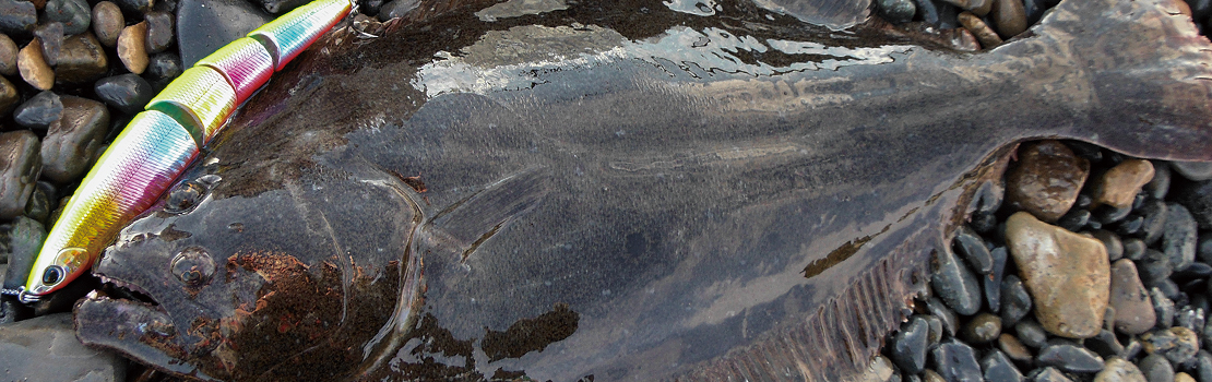 F-LEAD Jointed 135S イメージ