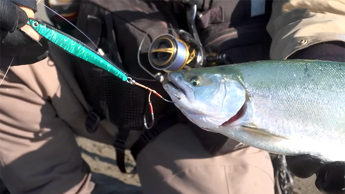 GIOPICK QR イメージ