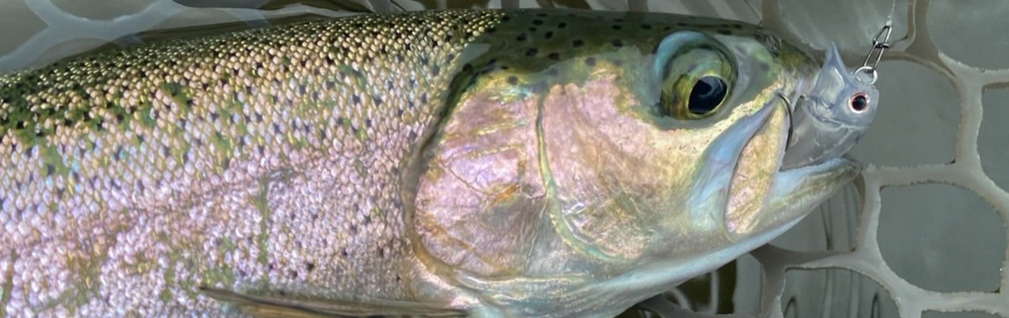 Little Diner Snack Powale イメージ