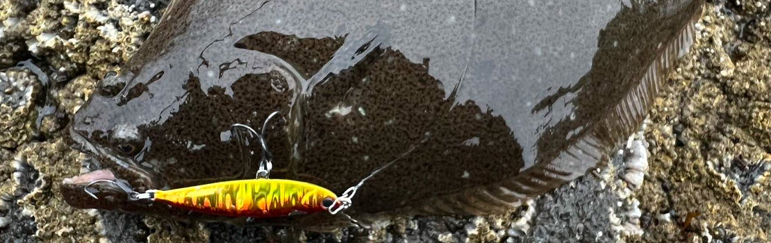 The Dax Flat30 イメージ