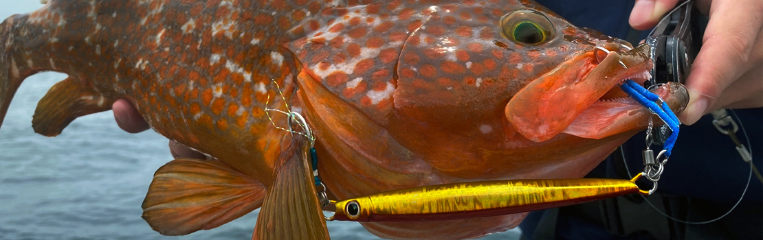 The Smelt SS イメージ